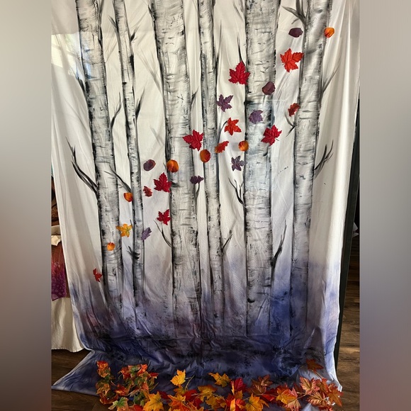 Frozen II backdrop - Picture 6 of 8